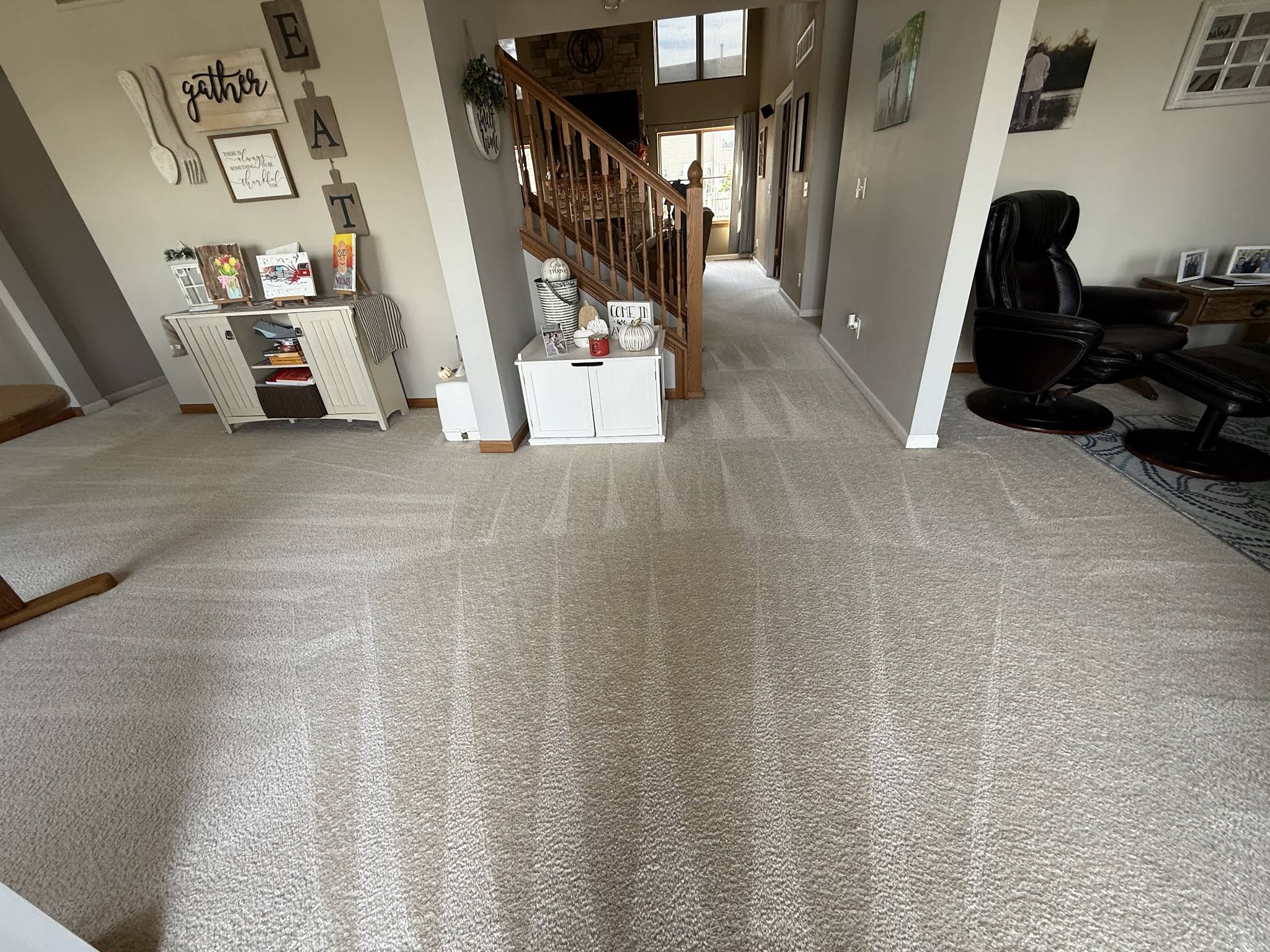 TED'S Carpet Cleaning PLUS